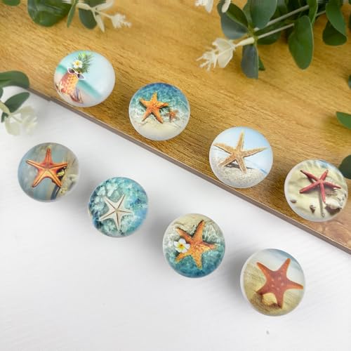 8Pack1.5 Ceramic Starfish Shells Knob Coastal Furniture Ocean Nursery Beach Themed Decorative Cabinet Dresser Drawer Pulls and Knobs