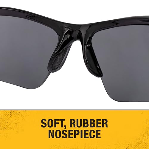 DEWALT DPG51-2C Radius Smoke 10 Base Curve Lens Protective Safety Glasses