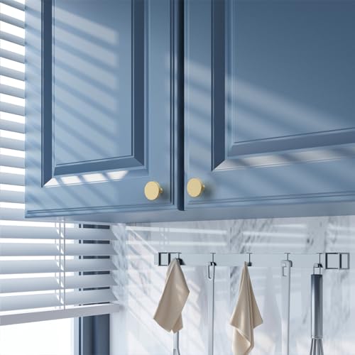 Amerdeco 10 Pack Brushed Gold Cabinet Knobs Single Hole Cabinet Pulls - color: Brushed Gold, size: Knobs