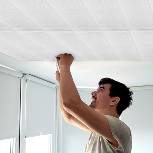 Nuanchu 20 Pcs 13.8 x 13.8 Inch Ceiling Tiles Peel and Stick, Fresh - color: Fresh, size: 13.8 x 13.8 Inch