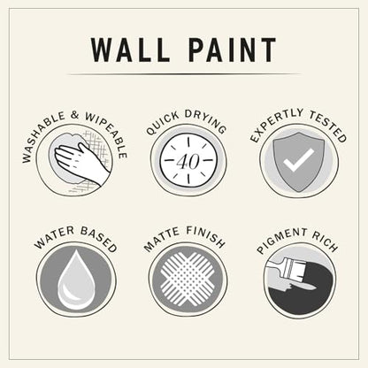 Annie Sloan Wall Paint (Graphite, 4 Fl Oz Tester) - color: Graphite, size: 4 Fl Oz (Pack of 1)