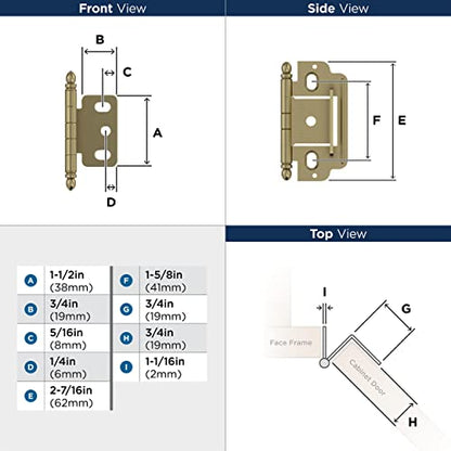 Amerock 3/4" Partial Wrap Golden Champagne Decorative Cabinet Hinge - color: Golden Champagne