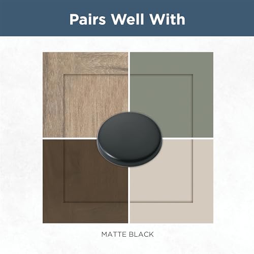 Franklin Brass (10-Pack) – Matte Black Cabinet Knobs for Dressers, Drawers, Kitchen Cabinet Door, Vanity, Furniture, Closet Knobs, 1-3/16 Inch Round | Mushroom - color: Matte Black