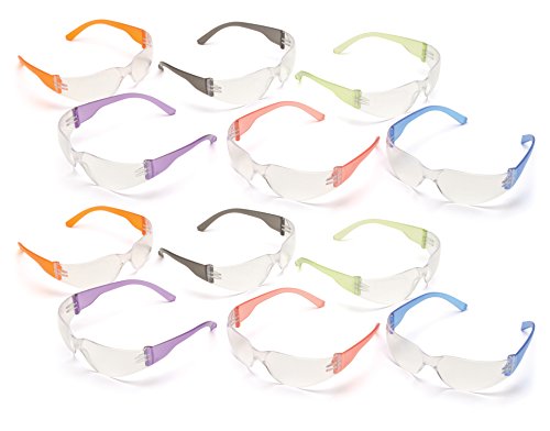 Pyramex Intruder Safety Eyewear Clear Frame Full Foam Padding Clear Anti-Fog Lens - color: Black, style: Standard