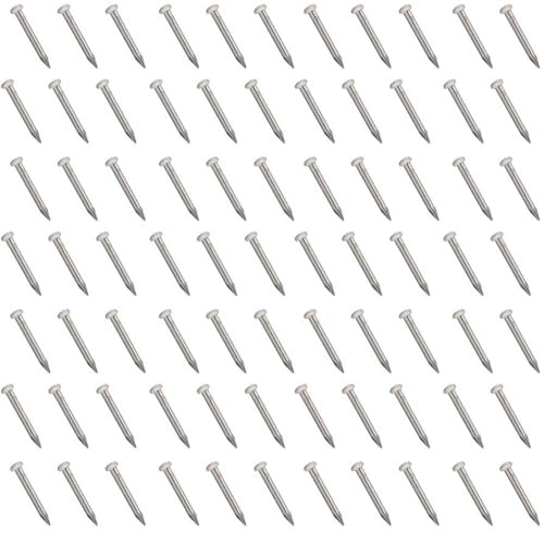 Tiny Wooden Nails for DIY Craft Projects, Antique Drawer Repairing, Mini Boxes Decorative Accessories[Set of 200pcs] (0.5inch/13mm, Silver) - color: Silver, style: 13mm