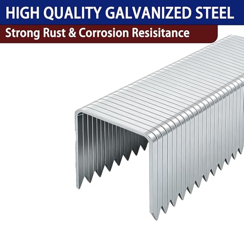 HW HAMWOO 20 Guage Galvanized T/50 Staples,6000pcs - size: Assembly---6000 Pcs