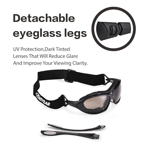 SAFEYEAR Safety Glasses Anti Fog Scratch Resistant ANSI Z87.1 CE Protective Eyewear with Foam Gasket Adjustable Strap - color: Smoke Lens
