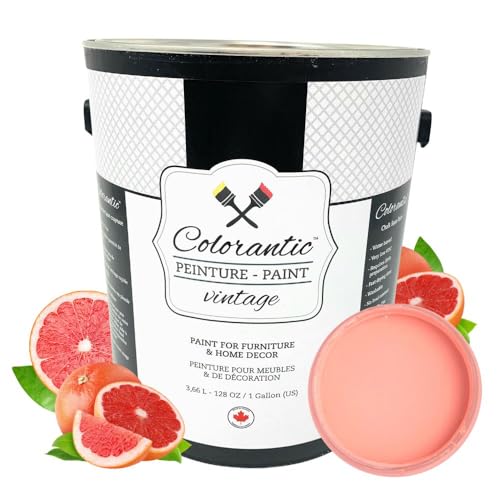 Colorantic | GRAPEFRUIT Chalk Paint for Furniture DIY - Multi-Surface All-in-One Craft Paint | PINK CORAL Home Decor Painting for Wood (128 oz Gallon) - color: Grapefruit, size: 128 Fl Oz (Pack of 1)