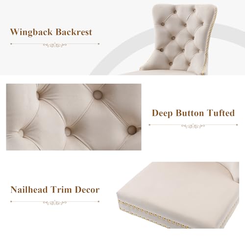 Beige Velvet Dining Chairs Set of 2, Elegant Tufted & Nailhead, Gold Legs - color: Beige, Golden Steel Leg, size: set of 2