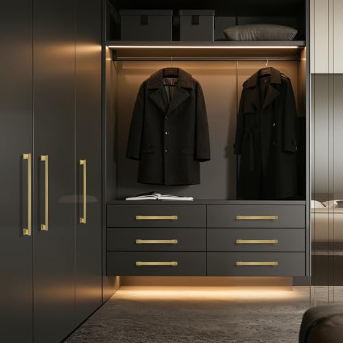 Lardmon 10 Pack 6.3 Inch(160mm) Hole Center Brushed Champagne Bronze Kitchen Cabinet Handles Modern Cabinet Pulls Kitchen Cabinet Hardware Solid Drawer Pulls for Dresser, Tot. Length 7.28 Inch - color: Champagne Bronze, size: 6.3 Inch Hole Center