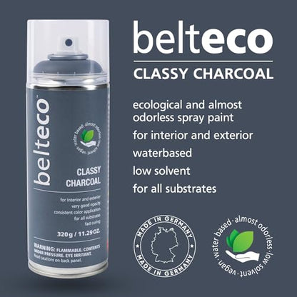 Classy Charcoal Spray Paint | Water-based Light Black Spray Paint - color: Classy Charcoal, size: 11.29 Ounce (Pack of 1)