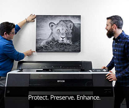 Breathing Color Timeless Archival Print Varnish - 1 Quart, Matte Finish, Professional Quality Canvas Coating, Water Based UV Protection, No Glare Finish, 100+ Years Certified Archival - size: Quart