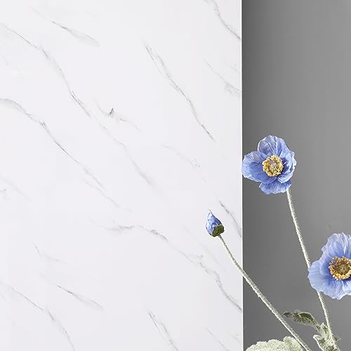 Haimin 3D Wall Panels Peel and Stick Marble Tile Look 10 Pack Waterproof - color: White-LYB