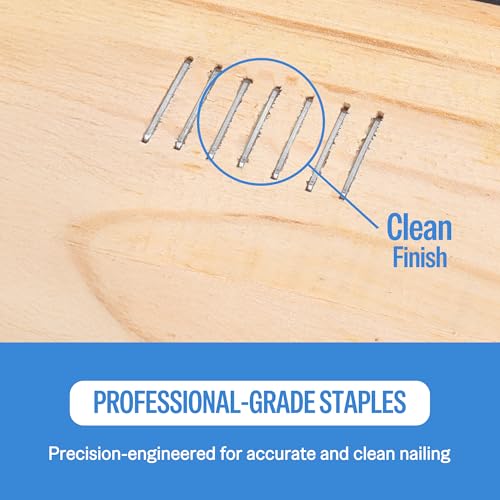 meite 21 Gauge 1/2-inch Crown Upholstery Staples,304 Stainless Steel with 1/4-inch Leg Length, Heavy Duty Staples for Staple Gun MT8016 (10,000 Counts) - size: 1/4" (6 mm), style: 1 Box