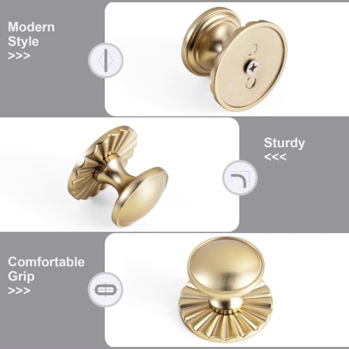 6Pack Champagne Bronze Cabinet Knobs with Backplate Drawer knobs - color: Champagne Bronze, style: Daisy
