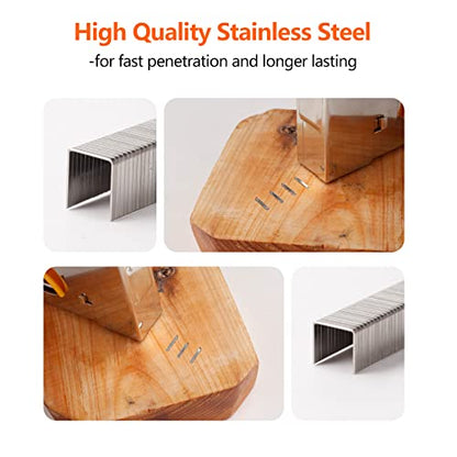 Heavy Duty T50 Staples 1000-Count 2 Sizes 304 Stainless Steel - size: 2 Sizes-1000 pcs