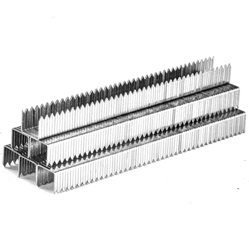 3/8 Inch Length Heavy Duty T50 Staples 304 Stainless Steel 2000 Pcs - size: 3/8 Inch 2000-Count