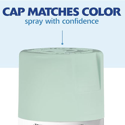 Rust-Oleum Painter's Touch 2X Ultra Cover Spray Paint, Satin Renew