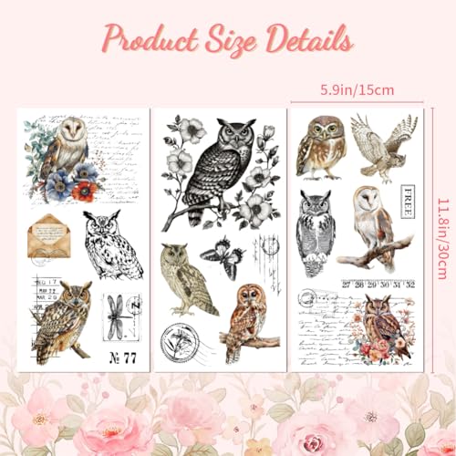Peacoblue Owl and Text Rub On Transfers for Furniture Craft 6"x12" - style: Owl and Text