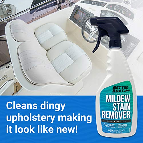 Mold and Mildew Stain Remover 22oz Spray for Fabric Vinyl Tile Grout - size: 22 Fl Oz (Pack of 1)