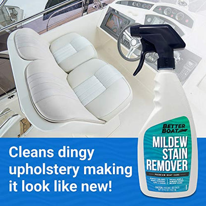 Mold and Mildew Stain Remover 22oz Spray for Fabric Vinyl Tile Grout - size: 22 Fl Oz (Pack of 1)