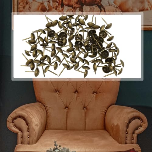 Antrader 100Pcs 3/8" Round Head Metal Upholstery Nails/Tacks,Antique Brass