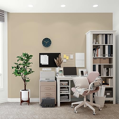 Glidden Total Interior Wall Paint & Primer All-in-One, NULLy Trail/Beige, Flat, 1 Gallon - color: NULLy Trail, size: 128 Fl Oz (Pack of 1)