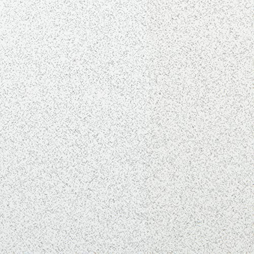 MARTHA STEWART Paint & Primer 8oz Spray Paint, Glitter Sterling (42938) - color: Glitter Sterling