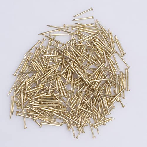 OMOTOOL Hardware Nail Assortment Kit (300pcs), Brass Plated Nails for Hanging Pictures (20MM)