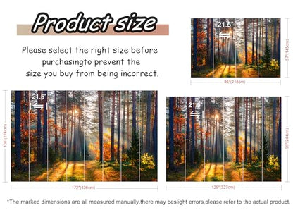 Jdayda Autumn Sunshine in The Woods Peel and Stick Wallpaper - color: MURAL-312, size: 129" x 96"