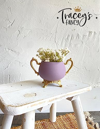 Dixie Belle Paint Company Chalk Mineral Paint - Secret Path (8oz) - color: Secret Path, size: 8 Fl Oz (Pack of 1)