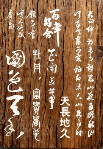 TIAMECH A4 Reusable Chinese Calligraphy Stencil for Painting - style: Chinese Calligraphy Beauty