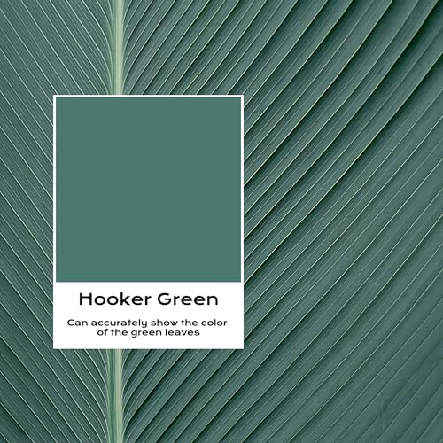 Acrylic Wood Paint for Furniture - Eggshell luster Paint Suitable for Wood Surface Renovation, Water-based All In One Paint, Non-toxic & Odorless (Hooker Green, 16 Fl Oz (Pack of 1)) - color: Hooker Green