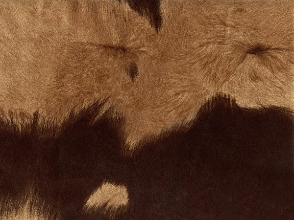 Suede Velvet Cow Print Fabric Udder Madness Upholstery 54" Wide Sold by The Yard (Big Cow Brown) - color: Big Cow Brown