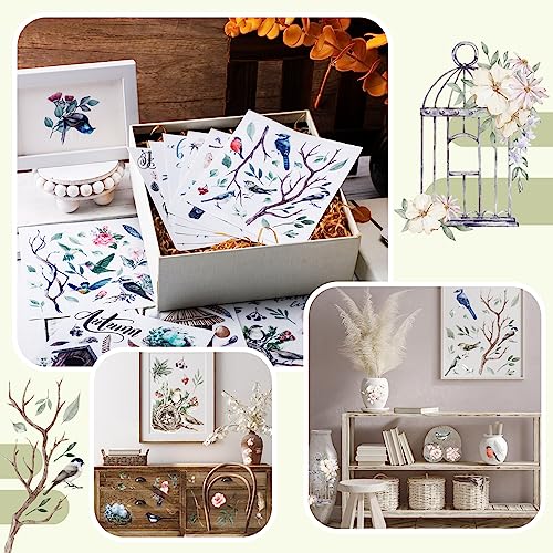BBTO 12 Sheets Vintage Rub on Transfer for Craft Birdhouse Bird Decals - style: Bird