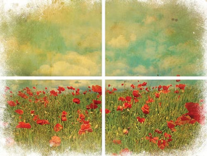 Dixie Belle Belles & Whistles Transfer - Field of Flowers - 24.8” x 38.8” Sheet - Rub On Decorative Transfer for Crafts, Furniture, DIY - Crafting Design - size: Field of Flowers