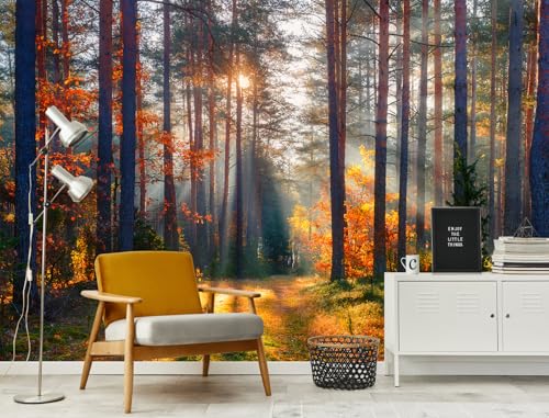 Jdayda Autumn Sunshine in The Woods Peel and Stick Wallpaper - color: MURAL-312, size: 129" x 96"