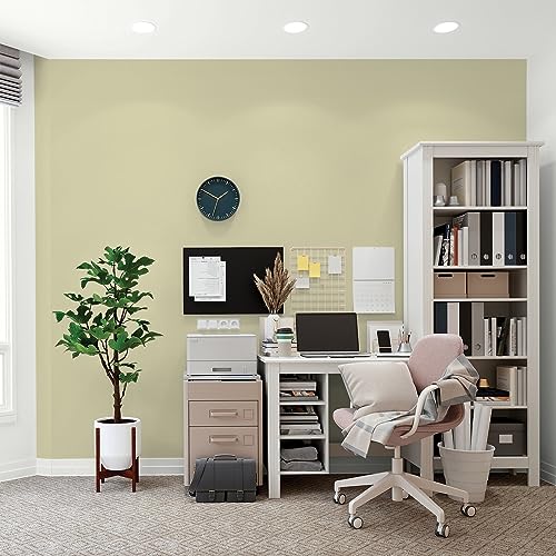 Glidden Total Interior Wall Paint & Primer All-in-One, Canary Grass/Green, Flat, 1 Gallon - color: Canary Grass, size: 128 Fl Oz (Pack of 1)