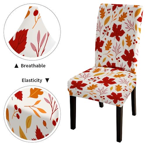 Mrcrypos Chair Covers Set of 4 Autumn Maple Leaves Pattern Slipcover Dining Chairs Covers Kitchen Chair Covers for Dining Chairs Living Room Restaurant Party Banquet - color: Autumn-3, size: 4