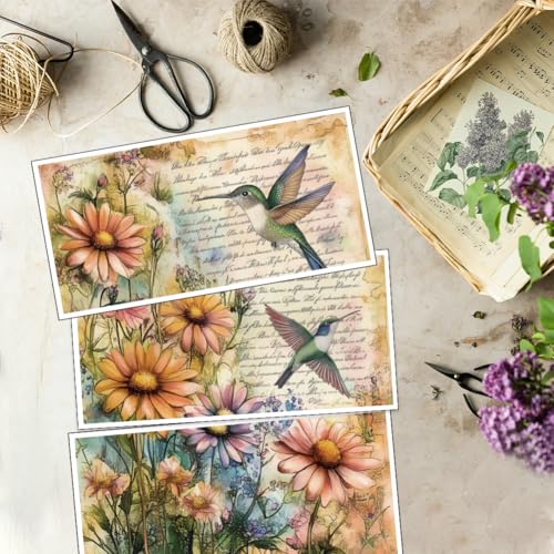 OLYCRAFT 3pcs/Set Vintage Hummingbird Rub on Transfers for Furniture and Crafts 12x6 Inch Hummingbird Collage Furniture Transfer Sticker Decals Transfer Stickers Rub on Decals for Wood Glass - style: Hummingbird