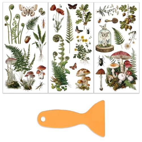OLYCRAFT 3 Sheets/Set Plant Archives Rub on Transfers for Furniture and Crafts 6x12 Inch Ferns Mushrooms Furniture Decal Transfer Stickers Rub on Decal with 1pc Scraper for Wooden Home Wardrobe Decor - style: Fern