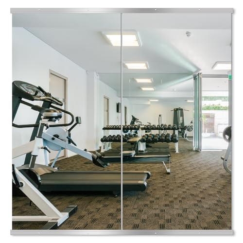 Delma Home Gym Mirror, 50''x25''x2PCS Silver Wall Mounted - size: 50''x25''x2PCS