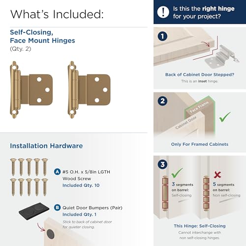 Amerock 1 Pair 3/8" Inset Champagne Bronze Self-Closing Face Mount Hinge