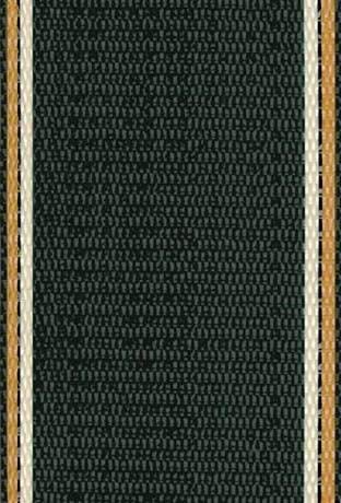Lawn Chair USA Replacement Lawn Chair Webbing - Webbing for Lawn Chairs, Beach and Camping. UV-Resistant Webbing Strap Made with Durable Polypropylene (2 1/4" x 50', Charleston Green)