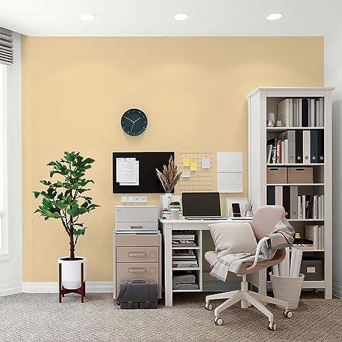 Glidden Total Interior Wall Paint & Primer All-in-One, Spice is Nice/Yellow, Flat, 1 Gallon - color: Spice is Nice, size: 128 Fl Oz (Pack of 1)