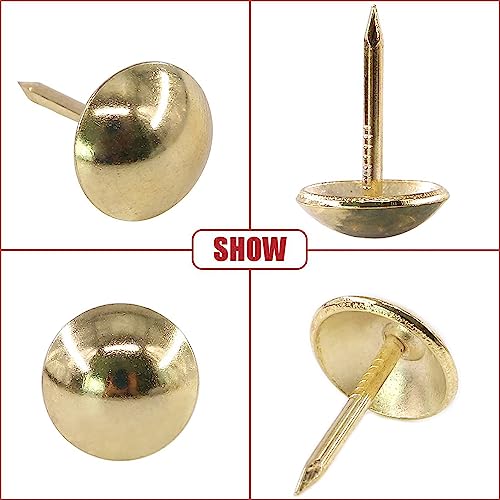 30mm Gold Antique Upholstery Nails, Round Large-Headed Nail, Furniture Tacks for Furniture Cork Board Wooden Furniture Decorative DIY Projects 20Pcs (Gold, 1-3/16")