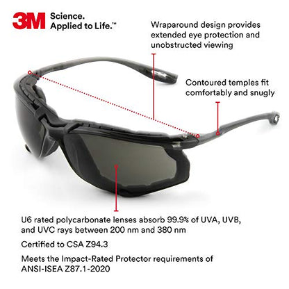 3M Safety Glasses, Virtua CCS, Anti-Fog Gray Lens, Black Frame, ANSI Z87 - color: Gray Lens, Black Frame With Foam Gasket, size: 1 Count (Pack of 1)