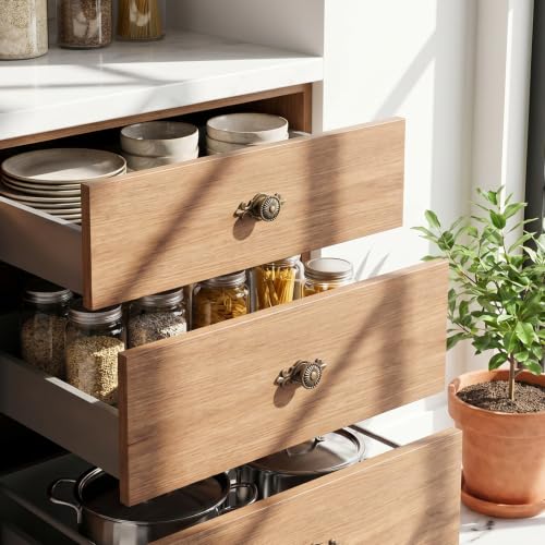 2 Pack Drawer Knobs Vintage, Antique Brass Cabinet Knobs and Pulls