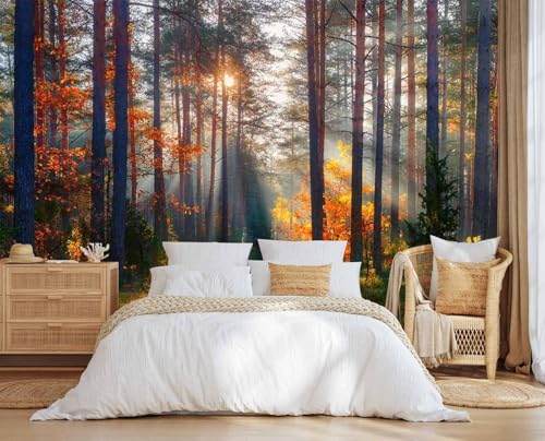 Jdayda Autumn Sunshine in The Woods Peel and Stick Wallpaper - color: MURAL-312, size: 129" x 96"