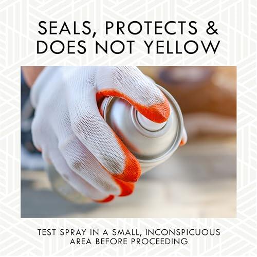 Rust-Oleum Matte Clear Spray Paint